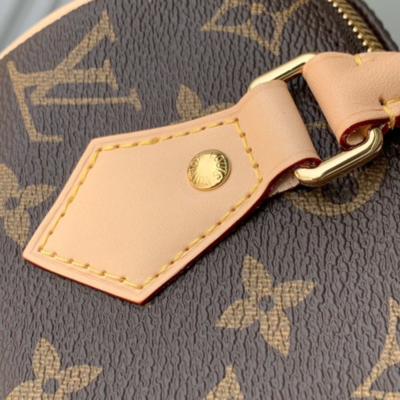 LV Speedy Bags
